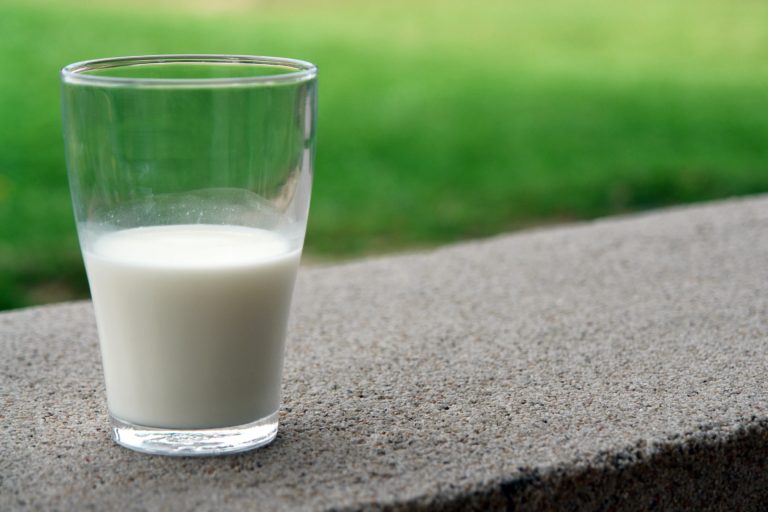 The Milk Debate