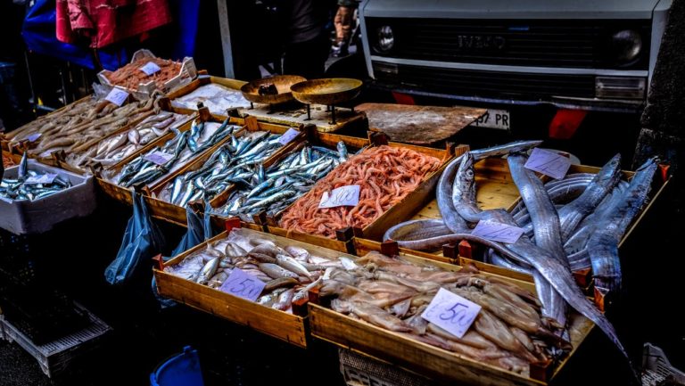 Is Fish Smelly?