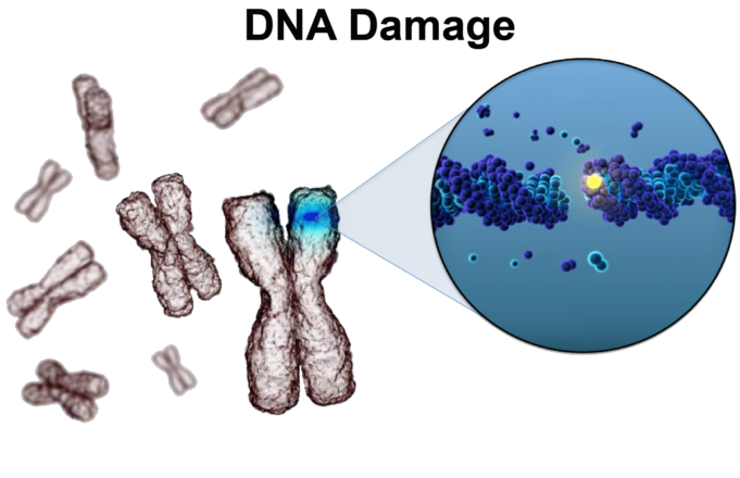 Highlights from the Micronutrient Forum in Africa