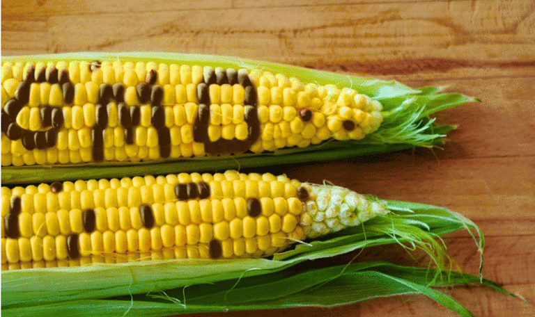 Tardy to the Party – Nutrition in the Genetic Engineering Conversation