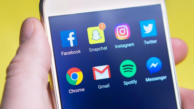 The Art of the Social Media Nutrition Misinformer