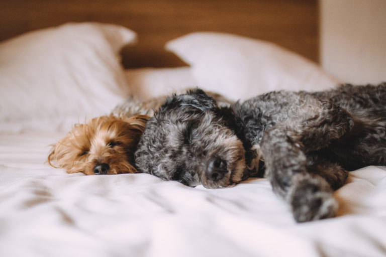 Sleep: The Most Underrated Healthy Habit