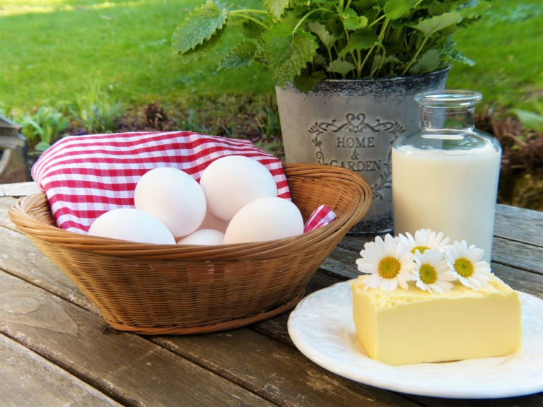 When calcium is not equal to bone health
