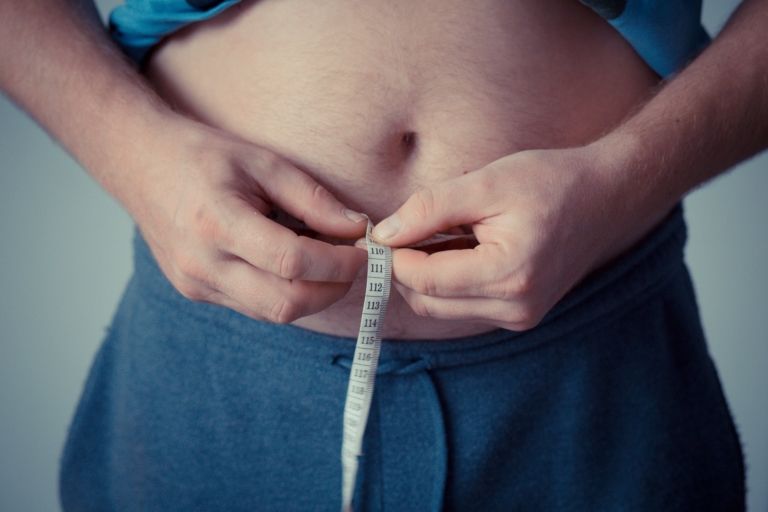Abdominal and Liver Fat – Does Diet Matter?