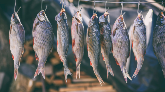 Is salted fish carcinogenic?