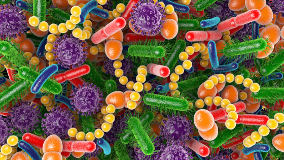 Advances in Nutritional Microbiology: From Fundamental Microbiome Science to Applications