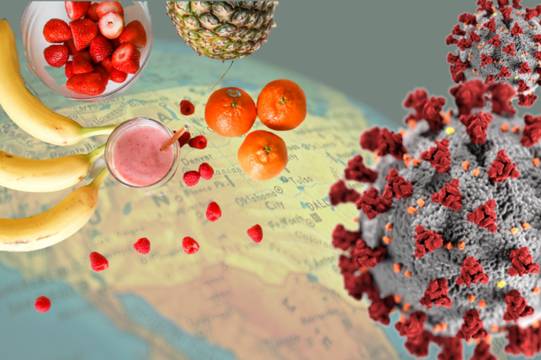 The Role of Nutrition in Supporting the Immune System Relative to Coronavirus (COVID-19)