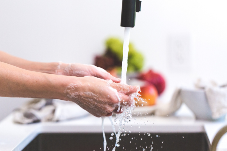 ASN Journals Address Links between Nutrition and Viral Infection: Part Two