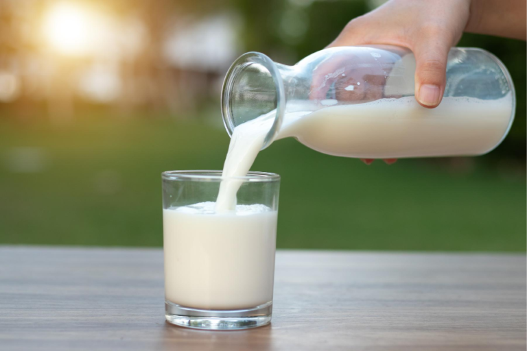 Protein type and dose, as well as subject age influences amino acid availability to support protein synthesis