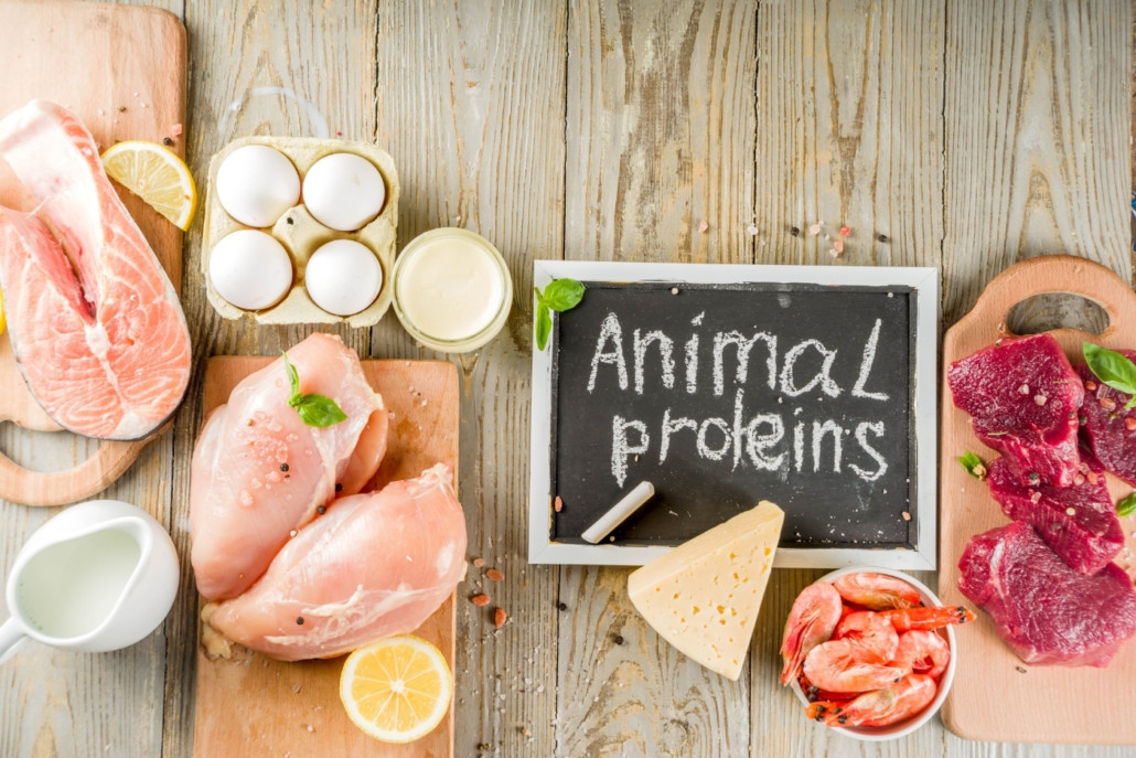 Plant protein vs. animal protein: Which has the greatest impact