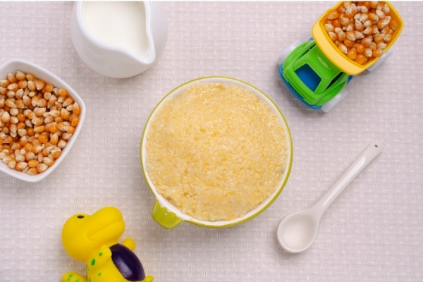 Inclusion of lactoferrin in a test meal increased iron absorption in infants