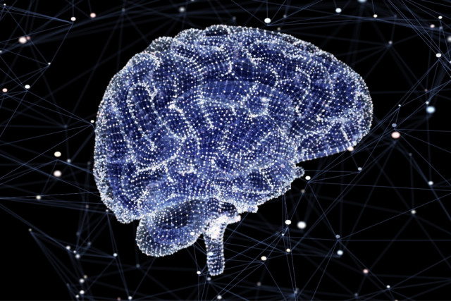 Carbohydrate intake level may impact brain reward region and impede weight loss maintenance