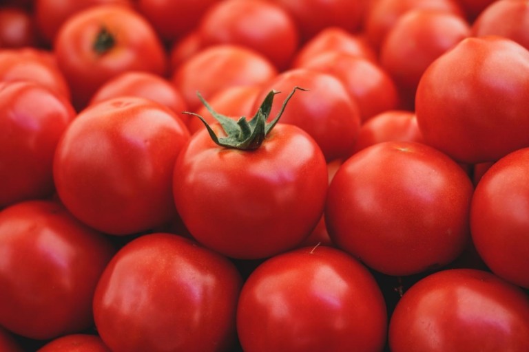 Including tomato in the diet of a mouse model of prostate cancer reduced radiation-induced damage