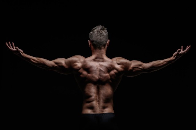 Free amino acids are more readily available than intact protein but do not induce a differential effect on muscle protein synthesis rates