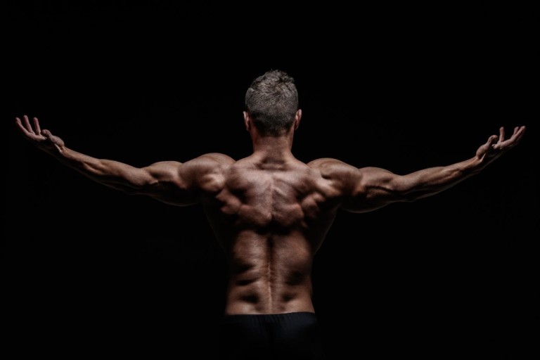 Free amino acids are more readily available than intact protein but do not induce a differential effect on muscle protein synthesis rates