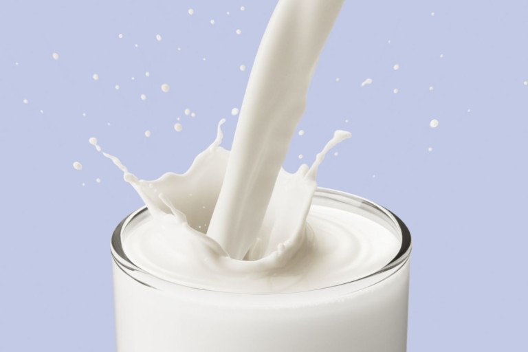 Is There a Link between Dairy Consumption and Cancer Mortality?