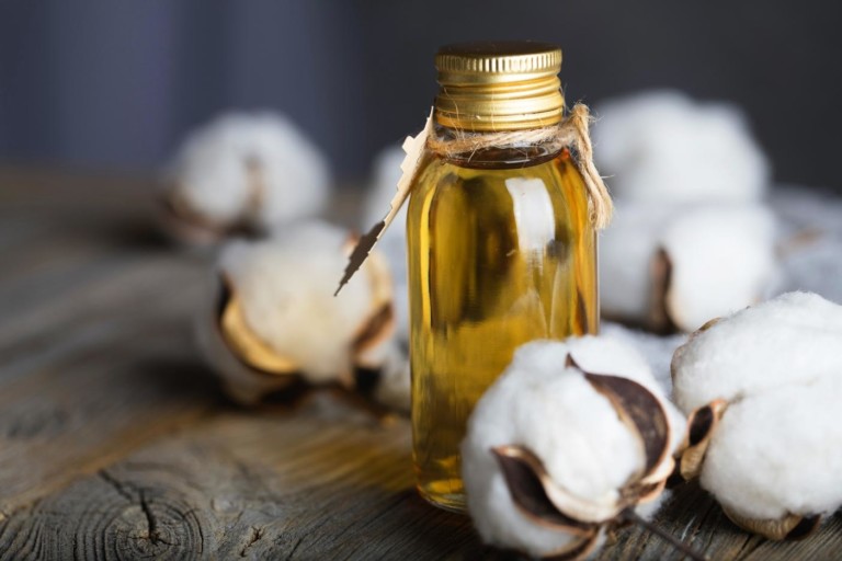 Cottonseed oil: A possible nutritional therapeutic for adults with hypercholesterolemia