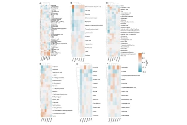 Biomarkers of food intake in the fecal metabolome