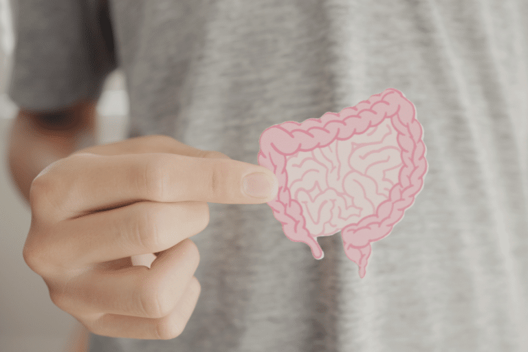 Diet quality leads to greater gut microbiota diversity and function