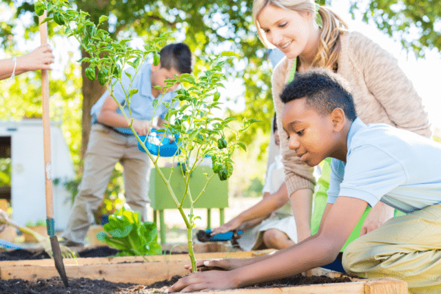 School-based nutrition education, cooking, and gardening intervention: Impact on unprocessed and ultra-processed food consumption in children
