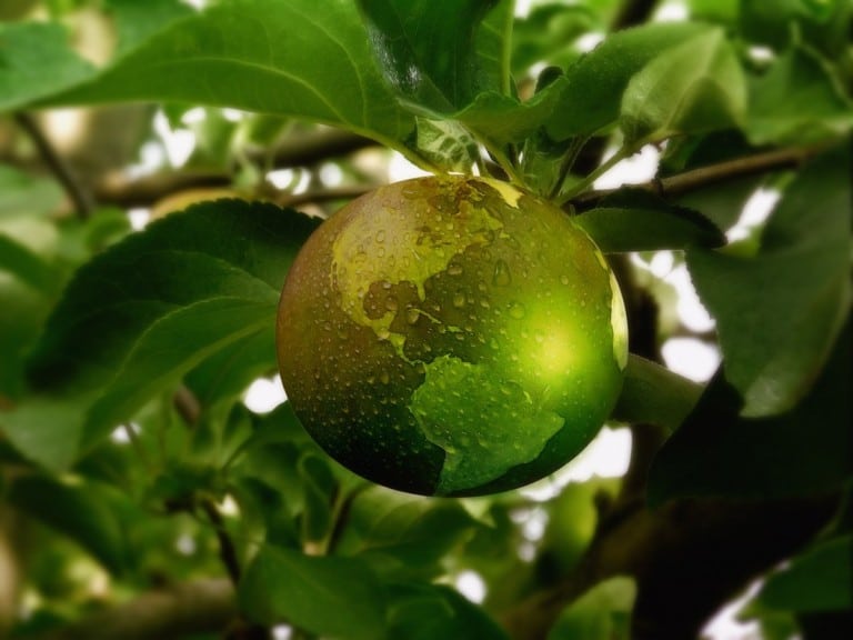 These foods can help you live longer and protect the planet